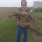 ���������� ���������, ���� ������� ���������, 29 ���, ������������ ��� ������, ����� � ���������, c�������� ���������, ���������