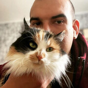 ���������� �����, ���� ������� �������, 31 ���, ������������ ��� ������, ����� � ���������