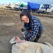 ���������� �����-���������, ���� ������� ������, 29 ���, ������������ ��� ������, ����� � ���������, c�������� ���������