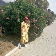  ,   , 51 ,   c , 