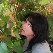 ���������� ������, ���� ������� ������, 43 ����, ������������ ��� c�������� ���������