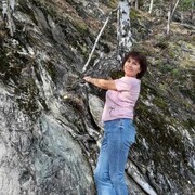 ���������� ������������, ���� ������� �����, 56 ���, ������������ ��� c�������� ���������