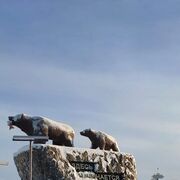 ���������� ����������, ���� ������� �������, 30 ���, ������������ ��� ������, ����� � ���������