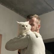 ���������� ��������, ���� ������� ������, 28 ���, ������������ ��� ������, ����� � ���������, c�������� ���������, ���������