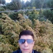 ���������� ������, ���� ������� �����, 43 ����, ������������ ��� ����� � ���������, c�������� ���������