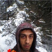  ,  korol, 33