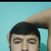 ���������� �����-���������, ���� ������� Daler, 31 ���, ������������ ��� ������, ����� � ���������