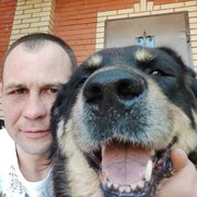 ���������� ������, ���� ������� Roman, 40 ���, ������������ ��� ����� � ���������, c�������� ���������