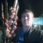  ,   , 46 ,   ,   