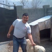  ,   Jild, 46 ,  