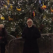 �� ����� ����� ����