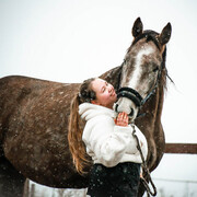 ���������� ����������, ����