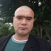  ,   , 41 ,     