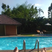 ���������� �����������, ���� ������� ������, 31 ���, ������������ ��� ������, ����� � ���������, c�������� ���������, ���������