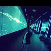  ,   , 38 ,   ,   , c , 