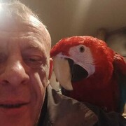 ���������� ������, ���� ������� ���������, 43 ����, ������������ ��� ������, ����� � ���������, c�������� ���������, ���������