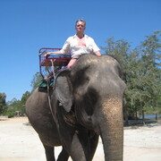 ���������� �����-���������, ���� ������� ��������, 58 ���, ������������ ��� ������, ����� � ���������, c�������� ���������