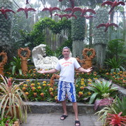  --,   , 51 ,   