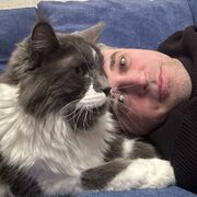 ���������� ������, ���� ������� ��������, 41 ���, ������������ ��� c�������� ���������