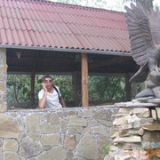  ,   Gregor9691, 56 ,   ,   , c 