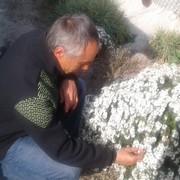  ,   Zenchik, 51 ,   ,   , c 