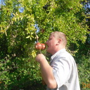  Hackenheim,   Ilj, 37 ,   