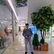  ,   Daler, 37 ,   ,   