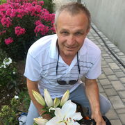 ���������� �����, ���� ������� ������, 67 ���, ������������ ��� c�������� ���������