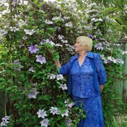  ,   , 65 ,     