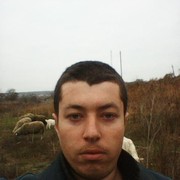  ,   , 29 ,   ,   , c 