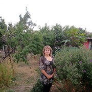  ,   , 62 ,   ,   , c , 