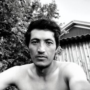 ���������� ����, ���� ������� ������, 36 ���, ������������ ��� ������, ����� � ���������, c�������� ���������, ���������