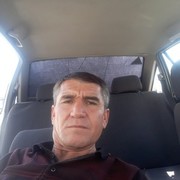  ,   Zaur, 51 ,     , c 