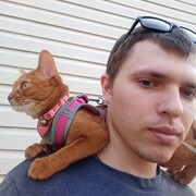 ���������� ������, ���� ������� �����, 34 ����, ������������ ��� ����� � ���������, c�������� ���������