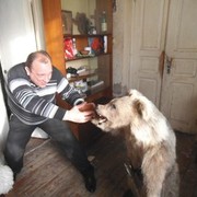 ���������� �������, ���� ������� David, 47 ���, ������������ ��� ������