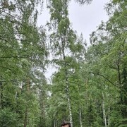 ,   , 25 ,   ,   , 