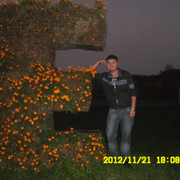  ,   , 31 ,     , c 