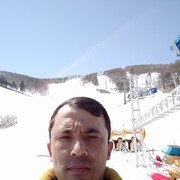  -,   , 41 ,   ,   , c 