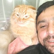  ,   , 35 ,   