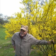  ,   , 70 ,   ,   