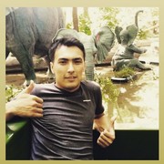 ���������� ����-���������, ���� ������� ����, 37 ���, ������������ 