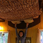 ���������� ������, ���� ������� ����, 36 ���, ������������ ��� ������, ����� � ���������, c�������� ���������