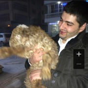  ,   , 34 ,   ,   , c , 