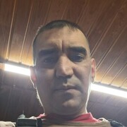 ���������� �������, ���� ������� ���, 41 ���, ������������ ��� ������, ����� � ���������