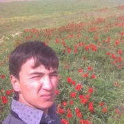  ,  toxir, 44
