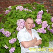 ���������� �����������, ���� ������� ���������, 48 ���, ������������ ��� ������