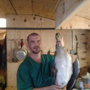 ���������� �������, ������� �������, 53