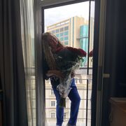 ���������� ������, ���� ������� ������, 64 ����, ������������ ��� ����� � ���������, c�������� ���������