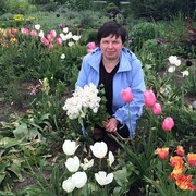 ���������� ������, ���� ������� ������, 64 ����, ������������ 