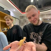 ���������� ����, ���� ����� ������, 21 ���, ������������ ��� ������